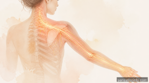 How to Relieve Tingling in the Shoulder and Arm — section 1 illustration